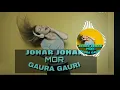 Download Lagu JOHAR JOHAR MOR GAURA GAURI !!CG SONG!! DJ SGR
