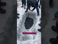 Download Lagu Ces hommes affamés ont mangé un requin des glaces 😱😱