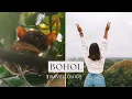Download Lagu BOHOL (PHILIPPINES) TRAVEL GUIDE - HOW TO GET THERE, WHERE TO STAY \u0026 THINGS TO DO - 4K