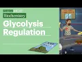 Glycolysis Regulation Biochemistry Sketchy MCAT