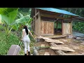 Lagu CEO Girl Leaves The City for The Forest To Building A New Wooden House | From Start To Finish