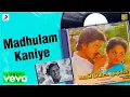 Download Lagu Saami Potta Mudichu - Madhulam Kaniye Lyric | Murali, Sindhu | Ilaiyaraaja