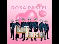 Rosa Pastel