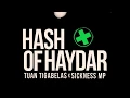 Download Lagu Lirik Tuan Tigabelas X Sickness MP - Hash Of Haydar