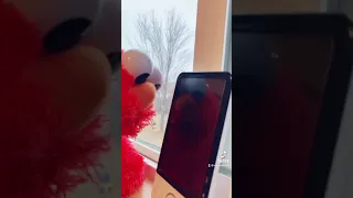 Elmo Orders Some Pizza 