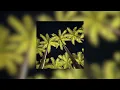 Sophie Ellis-Bextor - Murder On The Dancefloor (sped up)