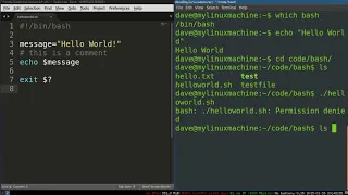 Bash Programming 4 How Bash Scripts Work