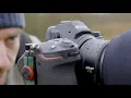 Download Lagu NATUURFOTOGRAFIE IN DENEMARKEN - eerste sneeuw, spiegelloos, winterzonnewende en vrolijk kerstfeest