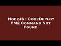 NodeJS CodeDeploy PM2 Command Not Found