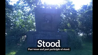 What is Stood How Does Stood Look How to Say Stood in English