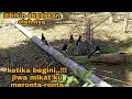 Download Lagu MIKAT KACER LIAR untuk menjaga kelestarian nya di alam