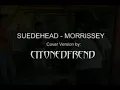 suedehead - morrissey  cover version