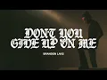 Lagu Brandon Lake - Don't You Give Up On Me (Official Audio Video)