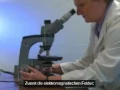 [documentaire] effet des ondes sur les moisissures - VO