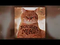 Lagu MONTAGEM MIAU | (1 Hour)