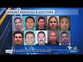 Look at Most Wanted fugitives for week of Aug 9