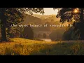 Download Lagu The quiet beauty of everyday life | Piano Playlist