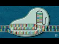 Lagu CRISPR Explained