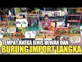 Download Lagu WAJAH BARU PASAR BURUNG DAN HEWAN PELIHARAAN BARITO JAKARTA SELATAN ! SETELAH DI REVITALITASI