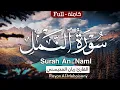 Lagu سورة النمل كاملة 🤍😴 || بصوت القارئ ريان المحيسني Surah An-Naml Rayan Al-Mohaisany