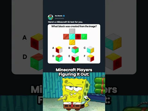 Only 1% Can Solve This Minecraft Puzzle... 💀