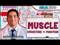 Musculoskeletal System Muscle Structure and Function