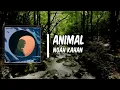 Lyric: Animal by Noah Kahan
