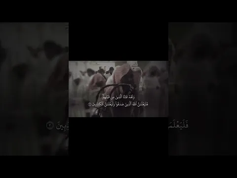 اكتب شيئ تؤجر عليه 🤎🪐 القارئ محمد الحيدان
