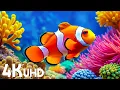 Lagu Aquarium 4K VIDEO (ULTRA HD) - Beautiful Coral Reef Fish - Sleep Relaxing Meditation Music #3