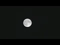 Blue supermoon dazzles San Diego skies