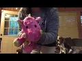 Go Dog Toy Review