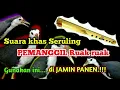 Download Lagu Top!!-suara seruling ruak ruak (dekut) solusinya pikat Ruak ruak
