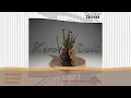 Zero Cult - Serenity ᴴᴰ