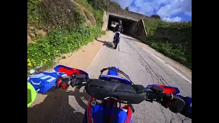                         دندنها