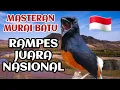 Download Lagu masteran murai batu rampes juara nasional