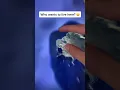 Download Lagu Who wants to live here? 🌎 Google Earth