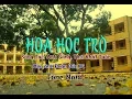 Download Lagu karaoke Hoa Học Trò (tone Nam)🎤