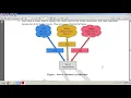 Python Application Programming - Module 5