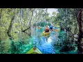 What to Know When Kayaking Crystal River Three Sisters Springs During Summer