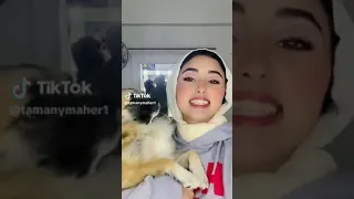 اسمو سيزر اسألو عنو تمني ماهر تقي ماهر لومي لوما Aioosh Tube 