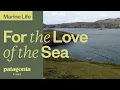 Download Lagu For the Love of the Sea | Patagonia Films