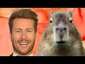 Glen Powell s Capybara Moment Goes Viral