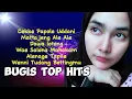 Download Lagu Kumpulan Lagu Lagu Bugis Mantap , Seleksi Lagu Lagu Bugis viral Nonstop
