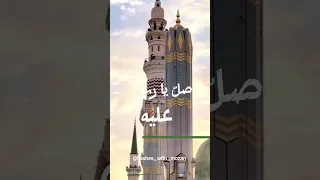 صل يارب عليه واسقنا من راحتيه صلوا عليه رسول الله ربيع الأول شهر الرسول Shortvideo Short 