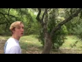 The 2016 Green Party commercial troll for Sterling Class
