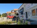 Pet Shop Adventure Town Centre Exploration A Fun Day Out