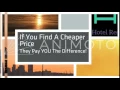 Best Hotel Rates In New Orleans - Save Up To 80 Today