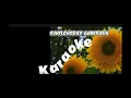 Sunflower by Amber Run Karaoke