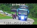 Download Lagu PERJALANA BUS PMH 1386 MEDAN - PALEMBANG
