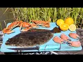Download Lagu FAT Flounder and JUICY Crab Catch n’ Cook!